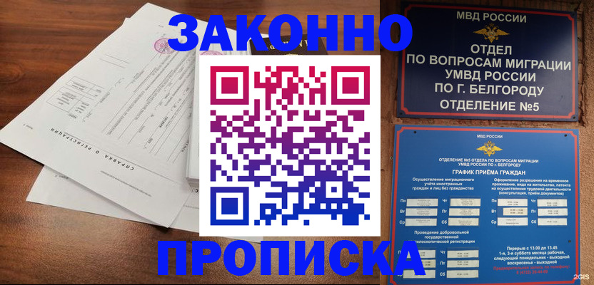 прописка в Кувшиново
